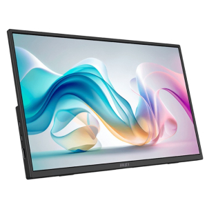 Monitor Portatil MSI PRO MP165 E6 15.6pulgadas empresarial portatil y ultrafino / MSI