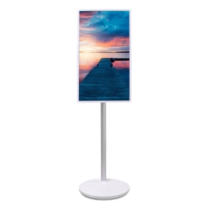 Monitor tactil Teros TE-3254CS 32pulgadas FHD, Android 10, 4Gb, 128Gb, WiFi, Bluetooth, HDMI, blanco, touch / Teros