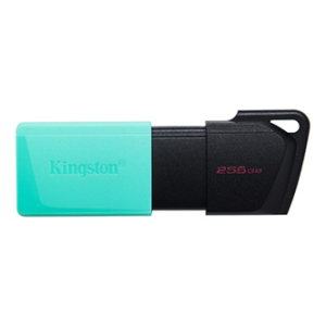 MEMORIA USB 256GB DTXM 3.2 NEGRO/VERDE KINGSTON (DTXM/256GB) / KINGSTON