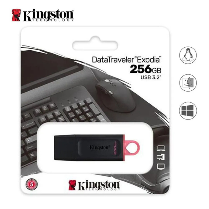 MEMORIA USB 256GB DTXS 3.2 KINGSTON (DTXS/256GB) / KINGSTON