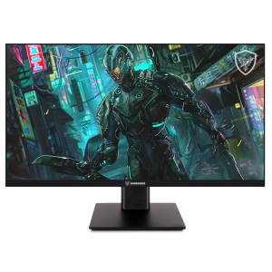 Monitor Gamer Micronics Matrix GM27FQ-120 27 QHD 2560x1440 120Hz