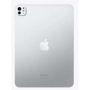 IPad Pro 11 pulgadas Wi-Fi 256GB with standard glass - Silver