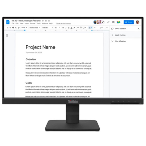 Monitor Lenovo ThinkVision S22-4e 21.5 Full HD 100Hz HDMI VGA