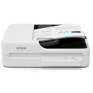 Escaner de Documentos Epson DS-1730, USB 2.0, 1200 DPI, B11B273201 / Epson