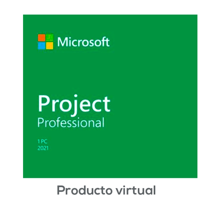 Project Profesional 2024 / MICROSOFT