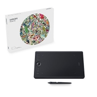 TABLETA CREATIVA WACOM INTUOS PRO PARA DIBUJO DIGITAL PTH660 - NEGRO / WACOM